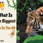 What Is The Biggest Zoo In The US