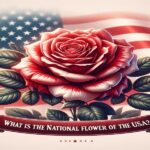What Is The National Flower Of The Usa
