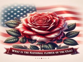 What Is The National Flower Of The Usa