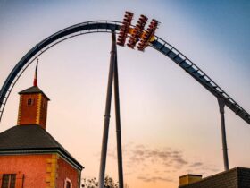 Can You Ride A Roller Coaster While Pregnant